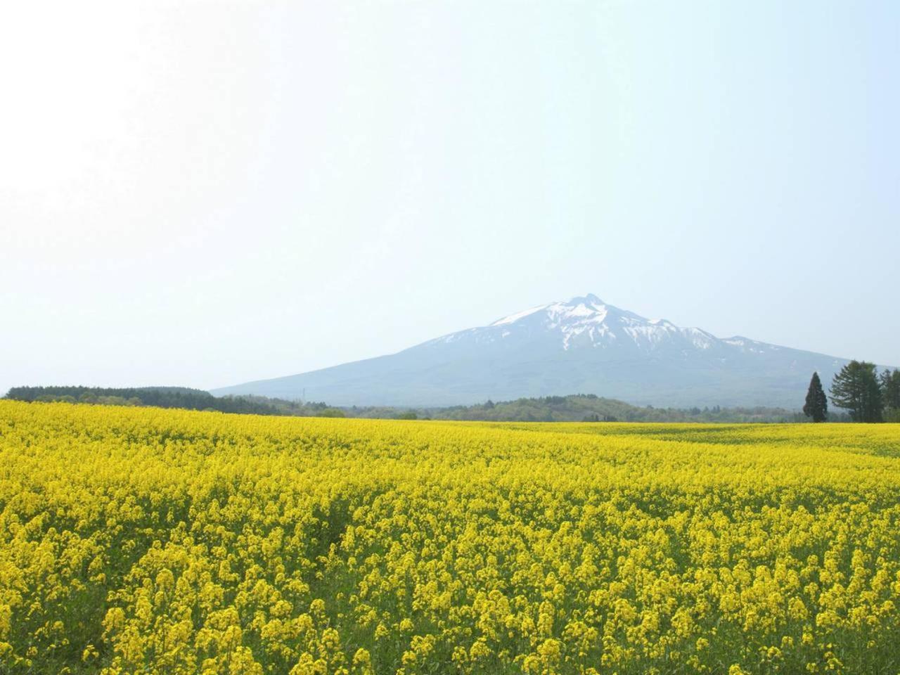 APA Hotel Aomorieki-Kenchodori Buitenkant foto